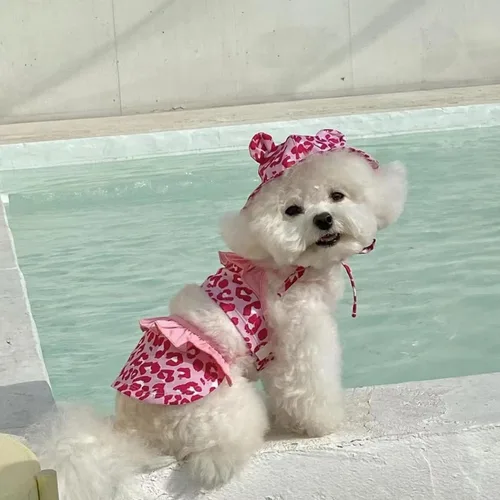 Vista 3 de Traje de baño de bikini de leopardo para perro, traje de baño