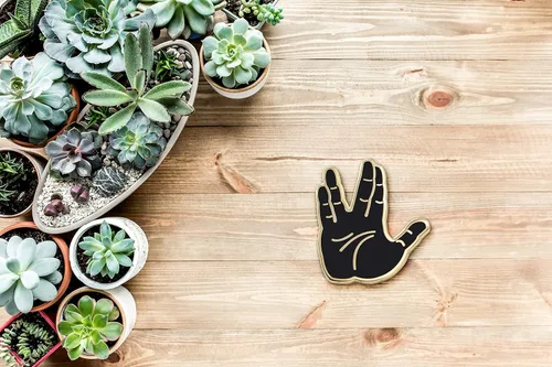 Vista 7 de Live Long & Prosper - Pin de esmalte con emoji, hecho por fanáticos de Star Trek, Esmalte