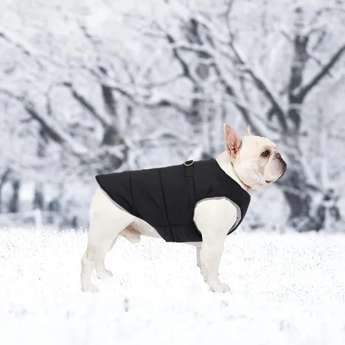 Vista 6 de Ropa de bulldog para perro, abrigo acolchado de algodón, chaleco grueso para invierno, chaleco cálido para clima frío, ropa para bulldog francés