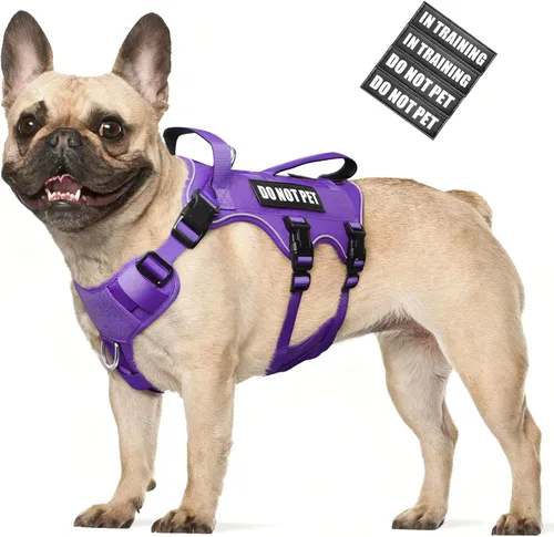 Vista 14 de WINSEE - Arnés para perro a prueba de fugas, arnés Molle de servicio y trabajo con doble asa, chaleco táctico para mascotas con 4 parches