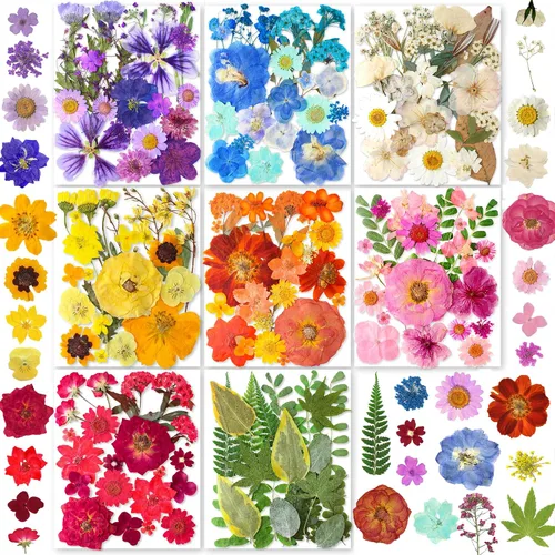 Vista 6 de 150 piezas de flores azules secas prensadas con pegatinas de mariposas - Juego de flores naturales reales de YouthBro para manualidades de resina