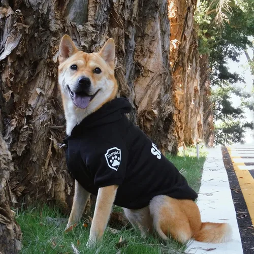 Vista 2 de Sudadera de seguridad con estampados que brillan en la oscuridad DAJIDALI - Ropa para perros - Sudadera de invierno - Chaqueta de suéter abrigada