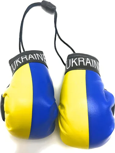 Vista 27 de Mini guantes de boxeo para colgar en el espejo del coche (Camerún)