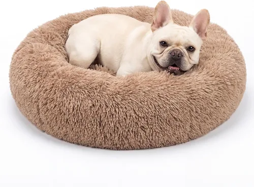 Vista 16 de Cama para perros pequeños, cama calmante para perros pequeños, antiansiedad, cama para cachorros, lavable a máquina, esponjosa, de lujo Verde militar