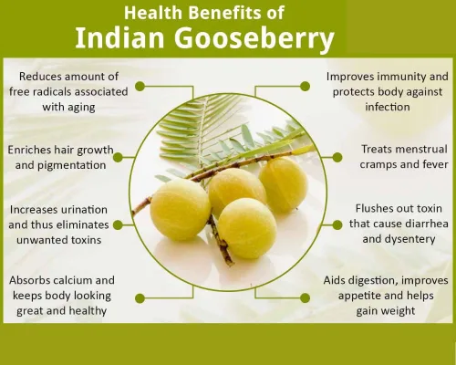 Vista 2 de Hierbas orgánicas puras Ayurvédica india Un cabello y piel ideales, mezcla de hierbas indias auténticas cultivadas orgánicamente