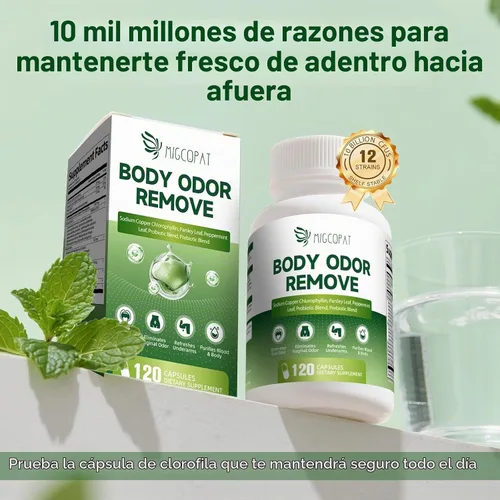 Vista 3 de Suplemento desodorizante corporal de clorofila con 10 mil millones de UFC probióticos, vitamina C y E, perejil, menta, té verde, prebióticos