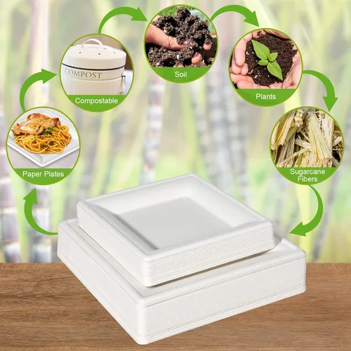 Vista 5 de Platos de papel cuadrados, platos de papel de 6 pulgadas, paquete de 100 platos de postre compostables ecológicos, pequeños platos desechables