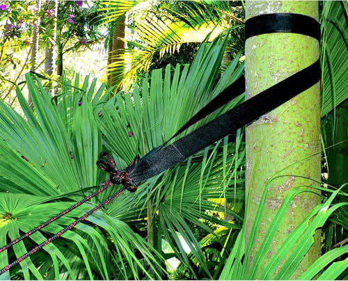 Vista 5 de Hammock Bliss Correas para árboles, cuelga cualquier hamaca con facilidad, instalación rápida, extra ancha, súper resistencia, increíblemente