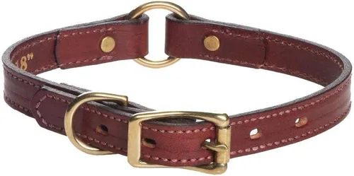 Vista 2 de Mendota Pet Collar de caza de cuero, collar de perro, fabricado en los Estados Unidos