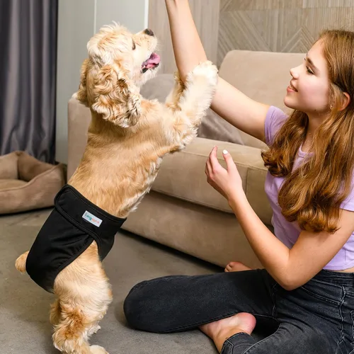 Vista 5 de Langsprit Pañales lavables para perro hembra (paquete de 3 unidades) - Sin fugas, reutilizables, para perritas en período, calzones altamente Negro