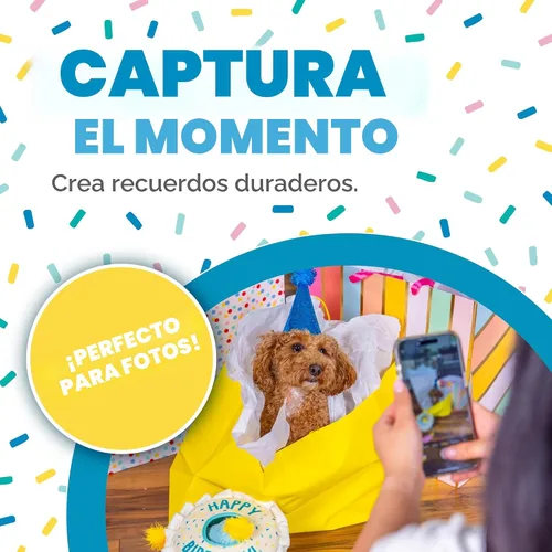 Vista 5 de Outward Hound Hide A Birthday Cake, rompecabezas de peluche con temática de cumpleaños para perros