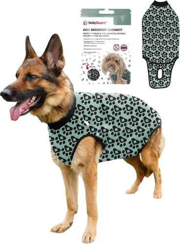 Vista 19 de Traje de Recuperación Quirúrgica BellyGuard para Perros, Mameluco para Perros para Cuidado Post-Operatorio, Ropa de Recuperación para Perros Hembra