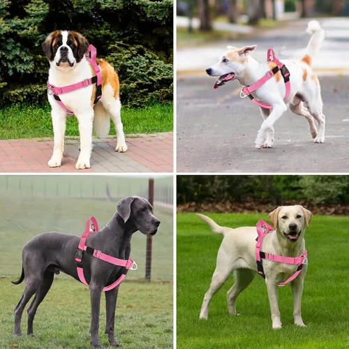 Vista 7 de Annchwool Arnés ajustable para perro, ligero sin tirones, con asa para perros pequeños, medianos y grandes, clip frontal, arnés de chaleco fácil