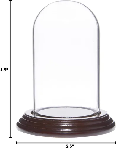 Vista 2 de Plymor Cúpula de cristal pequeña de 2.5 x 4.5 pulgadas (base de chapa de caoba oscura)