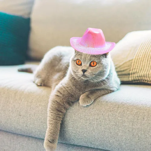 Vista 4 de Sombrero de vaquero para perro, disfraz de gato, bandana de vaquero del oeste, accesorios para mascotas, sombreros de vaquero brillantes metálicos