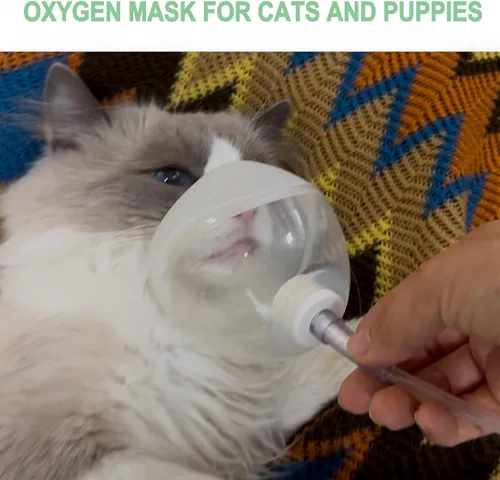 Vista 5 de Máscara inhaladora para gatos, máscara de oxígeno para gatos y cachorros, máscara y tubo de oxígeno para mascotas, adecuada para gatos y perros