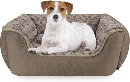 Vista 35 de JOEJOY - Cama rectangular para perros grandes, medianos y pequeños - Cama de sofá ortopédica lavable, suave y transpirable para cachorros