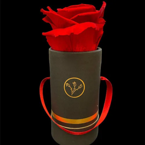 Vista 5 de Rosas preservadas auténticas 100% naturales, flores colombianas preservadas hechas a mano con aroma a rosa natural, perfectas para San Valentín
