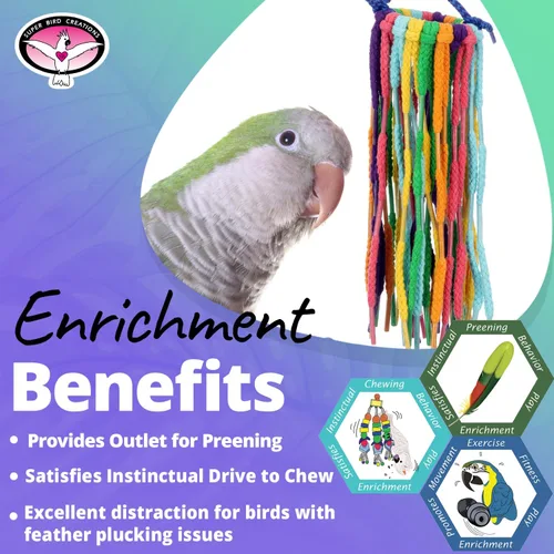 Vista 7 de Super Bird Creations SB1202 - Juguete para pájaros pequeños de arco iris, satisface los instintos de masticación y acicalamiento de loros, conures