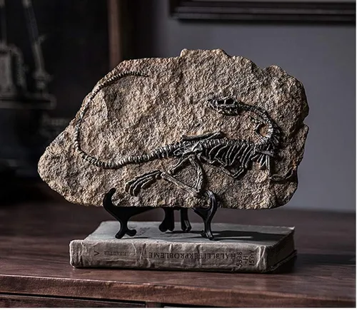 Vista 2 de XINDAM Modelo de estatua de fósil de dinosaurio de resina, esqueleto simulado para exhibición en hogar y oficina, caja decorativa de manualidades