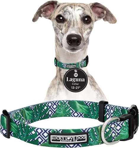Vista 28 de Lucky Love Dog - Collar para perras pequeñas, diseño Blackbird de estampado alegre con flores de primavera y verano, talla XS Collar Blackbird