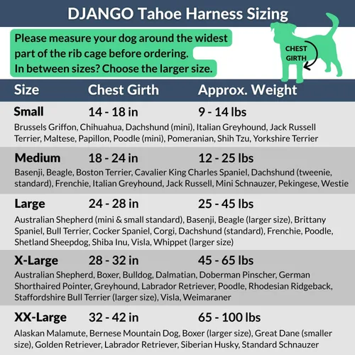 Vista 5 de DJANGO Tahoe Arnés para perro sin tirones, arnés para perros pequeños con clips delanteros y traseros para uso diario, ajustable, acolchado