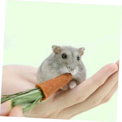 Vista 4 de 18 Pack Bunny Hamster Carrot Chew Toys for Dental Wear