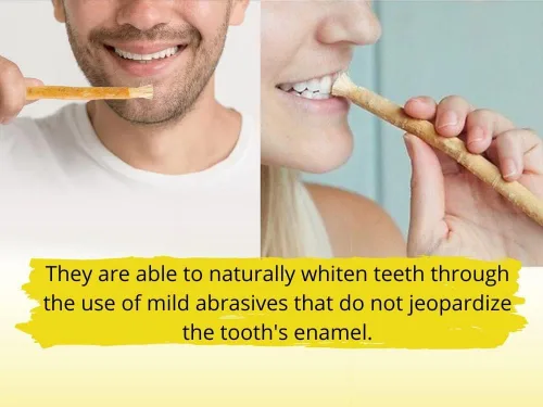 Vista 5 de Cepillo de dientes tradicional natural Miswak (sewak) Peelu Masticar Stick para dientes más blancos (3)