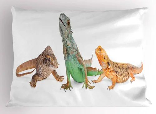 Vista 47 de Lunarable Juego de 2 fundas de almohada de caricaturas, automóvil deportivo de velocidad moderna, imagen exquisita del automóvil, ropa de cama
