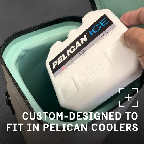 Vista 3 de Pelican Hielo