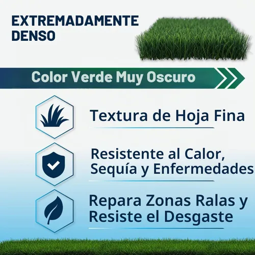 Vista 2 de Lawn Synergy North Star Kentucky Bluegrass y semilla de festuca alta, 10