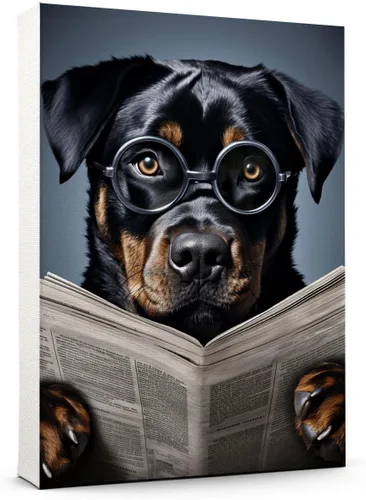 Vista 95 de Thuan Affenpinscher - Póster de lienzo con tus fotos, arte de pared para decoración del hogar, regalo conmemorativo para amantes de las mascotas