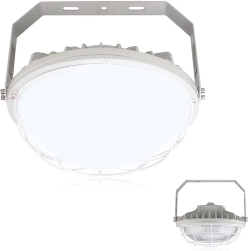 Vista 12 de RuggedGrade 100W Hercules Series LED Hazardous Location Light