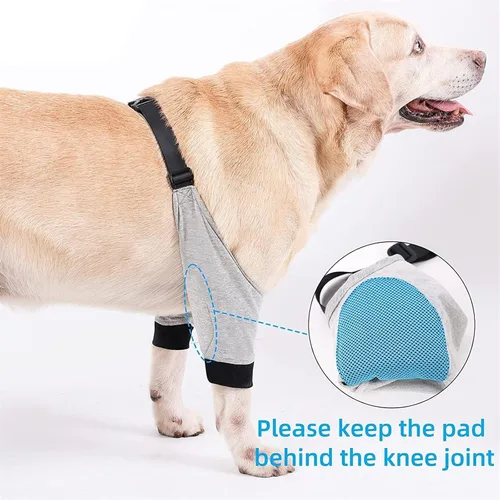 Vista 4 de Coderas para perros, coderas y soporte para el hombro, soporte para la pierna delantera del perro para la rehabilitación de lesiones, cirugía