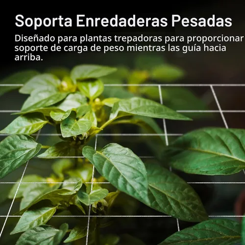Vista 2 de VIVOSUN Red de enrejado de plantas de 5 x 15 pies, red de cultivo de poliéster resistente, red de enrejado de jardín con malla cuadrada para plantas