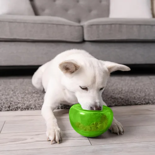 Vista 8 de Outward Hound Snoop Interactive Treat Dispensing Dog Toy, Green, 5" Snoop grande verde