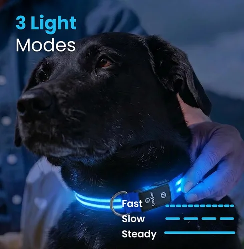 Vista 4 de Tractive Collar de perro con luz LED recargable USB impermeable (azul)