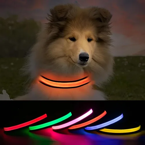 Vista 12 de Collares de perro iluminados recargables, collar de perro que brilla en la oscuridad, impermeable, collares de perro con luces LED intermitentes