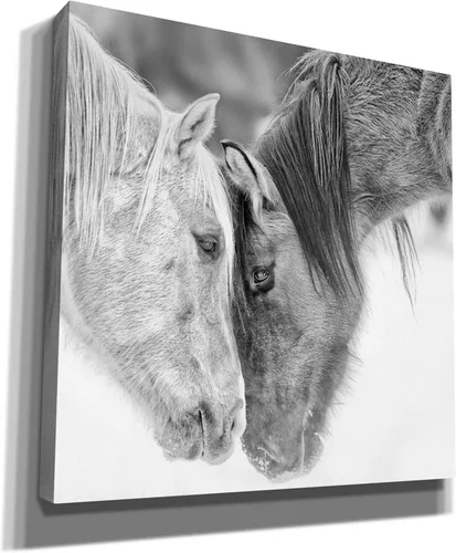 Vista 2 de Epic Graffiti BandW Horses VII de PH Burchett, lienzo para pared, 12.0 x 12.0 in