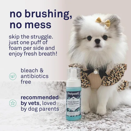 Vista 4 de Petpost Fresh Breath Foam for Dogs - Solución dental con sabor a menta y manzana que elimina el mal aliento - Tratamiento de limpieza dental