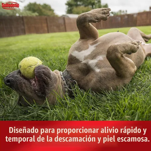 Vista 4 de Farnam Sulfodene Champú y acondicionador medicado para perros 12oz, blanco