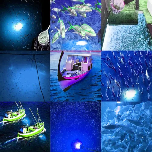 Vista 4 de SAMDO IP68 Lámpara LED submarina de 12V para pesca, luz de 1080 lúmenes que atrae peces, luz para pesca nocturna de 10.8W