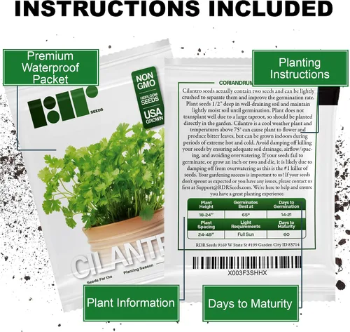 Vista 3 de Más de 500 semillas de cilantro para plantar - Semillas de hierbas autóctonas sin OMG cultivadas en EE. UU. en embalaje protector premium - También