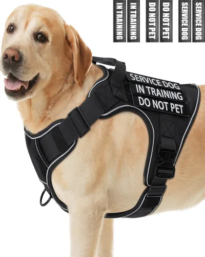 Vista 29 de Chaleco de perro de servicio para perros medianos, arnés de perro de servicio en entrenamiento con parches, chaleco ajustable para perros