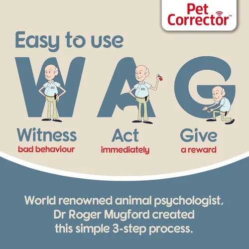 Vista 3 de Corrector para perros The Company of Animals (paquete de 4), 50ml