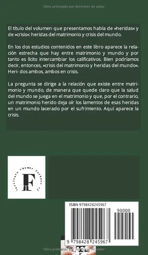 Vista 2 de Heridas del matrimonio y crisis del mundo (Spanish Edition)