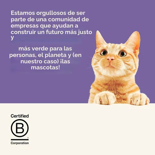 Vista 7 de Applaws Variedad de pescado y pollo, caldo de huesos para gatos, 6