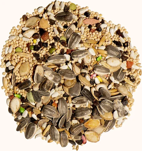 Vista 3 de Otoño Alimentos chuckanut Paradise Found Cockatiel Delight Nutrientes esenciales 5 lb