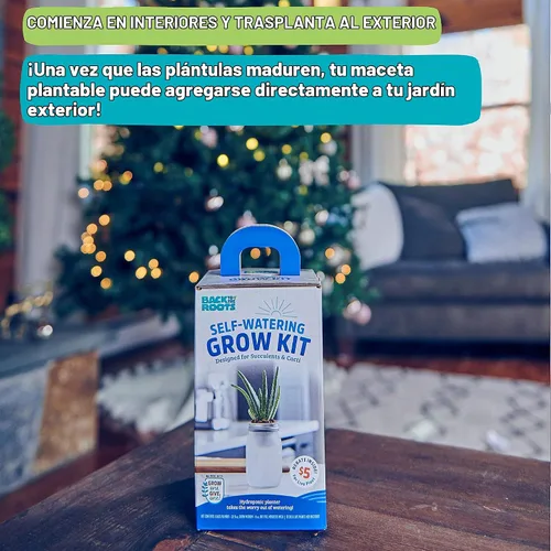 Vista 4 de Back to The Roots Kit de cultivo de riego automático: macetas hidropónicas de vidrio para suculentas y sistema de riego automático de cactus
