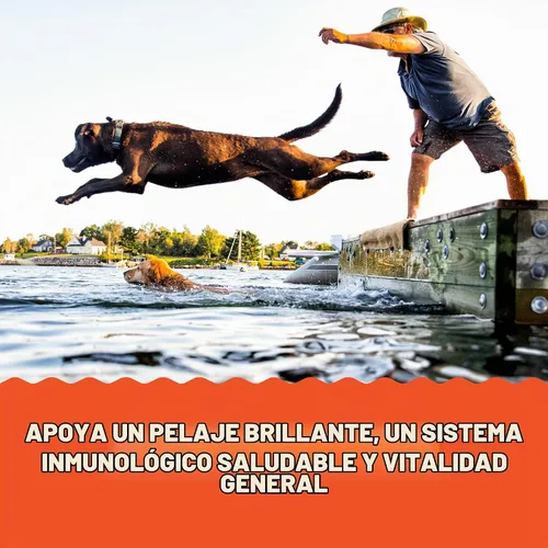 Vista 5 de Grizzly Pet Products Salmon Plus Omega 3-6-9 Suplemento alimenticio para perros y gatos, 16 onzas